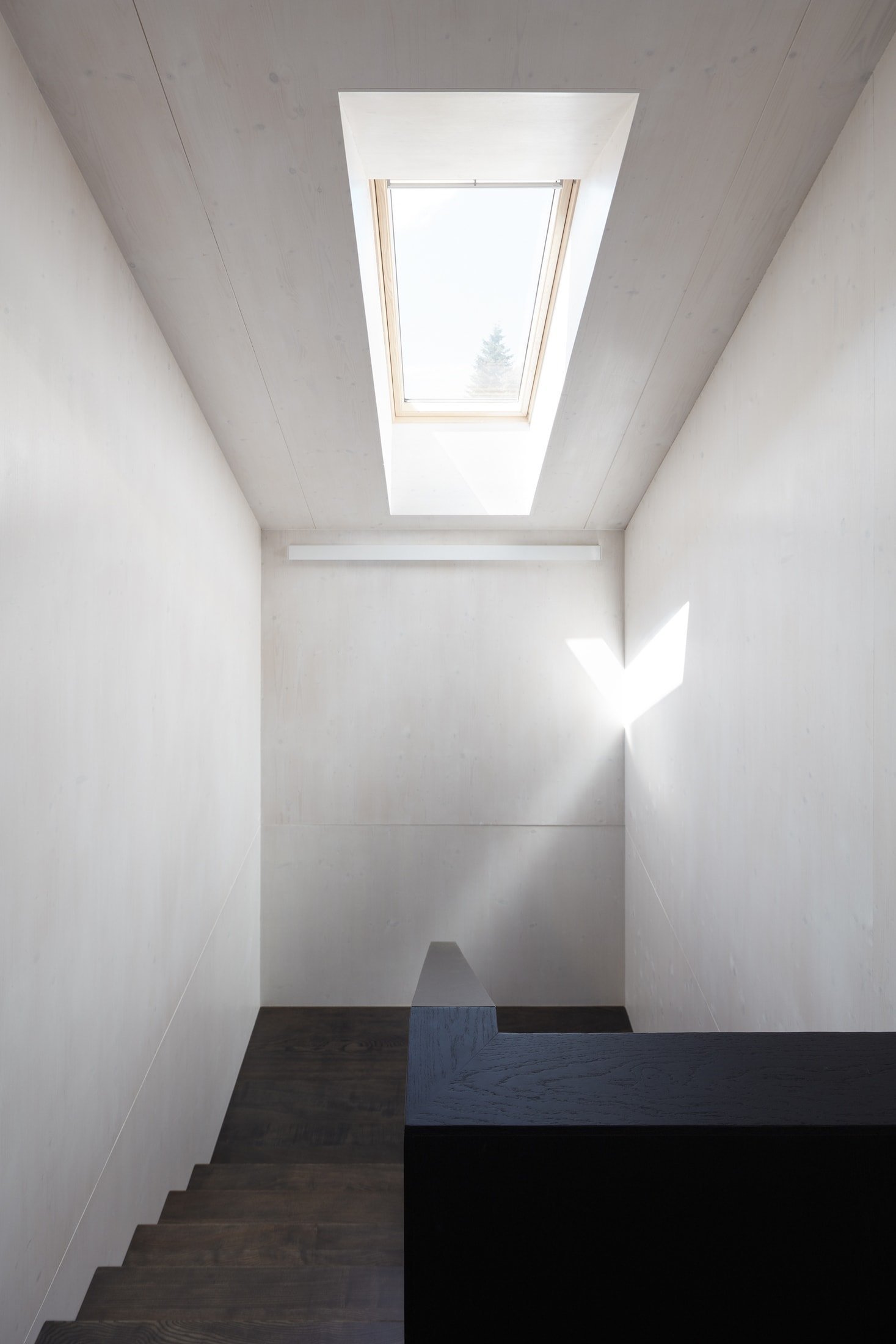 Unikátní dřevostavba - Engel House