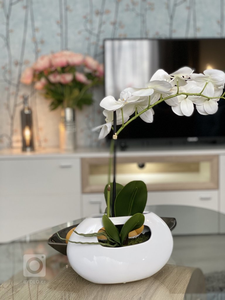 add picture to album