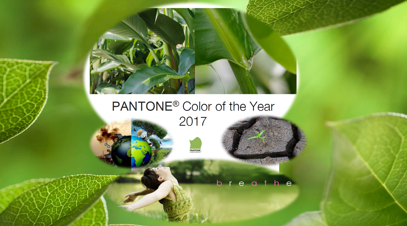 A BARVOU ROKU 2017 JE ……..