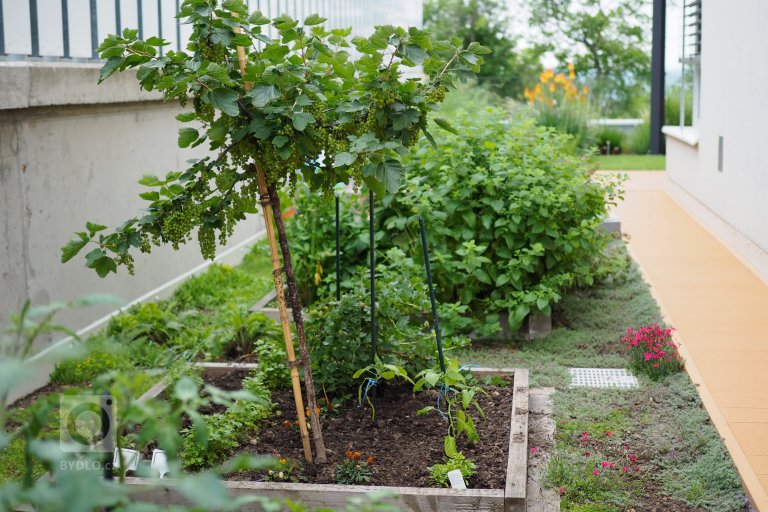 add picture to album