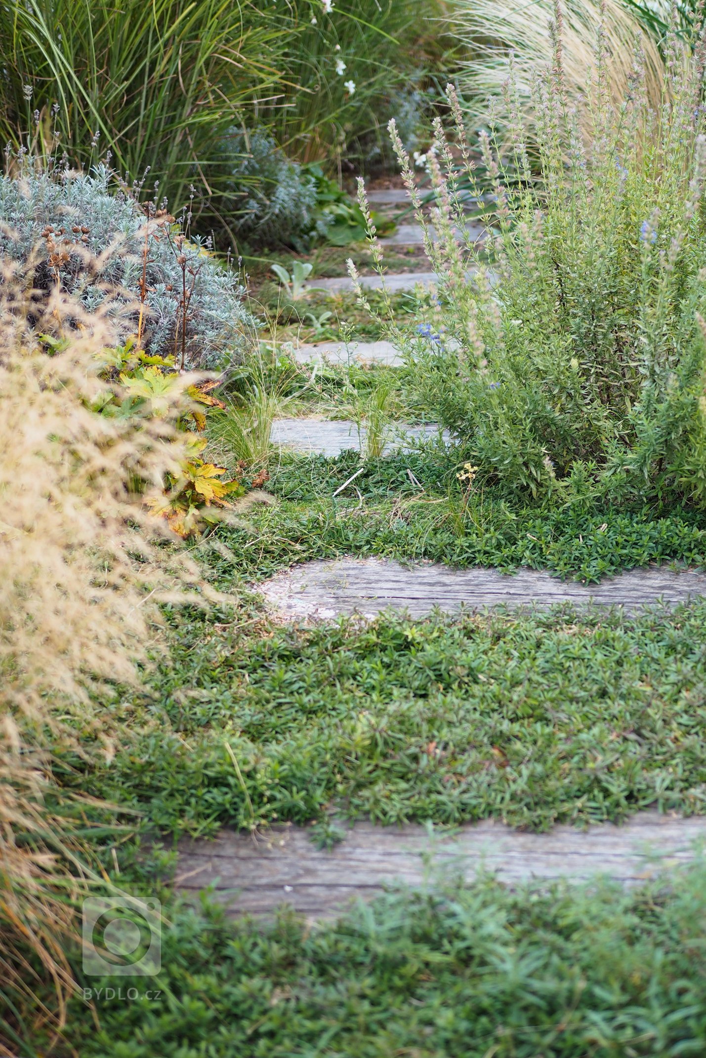 &bdquo;Je to malý a nechci tam jen trávník.&ldquo; Nějak podobně začínalo naše zadání pro návrh a následnou realizaci střešní terasy po úvodním telefonátu s…