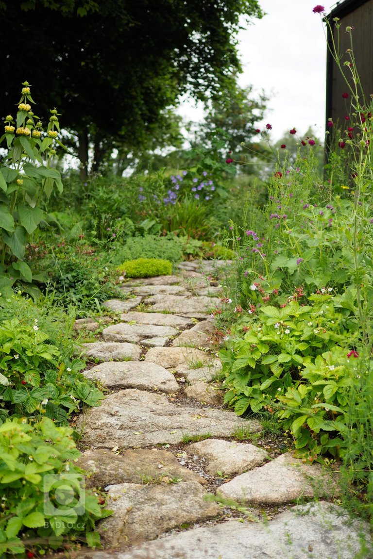 add picture to album