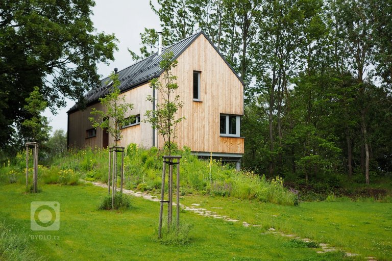 add picture to album