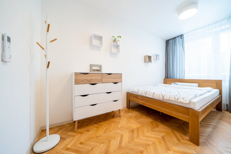 Rekonstrukce bytu Brno Bohunice