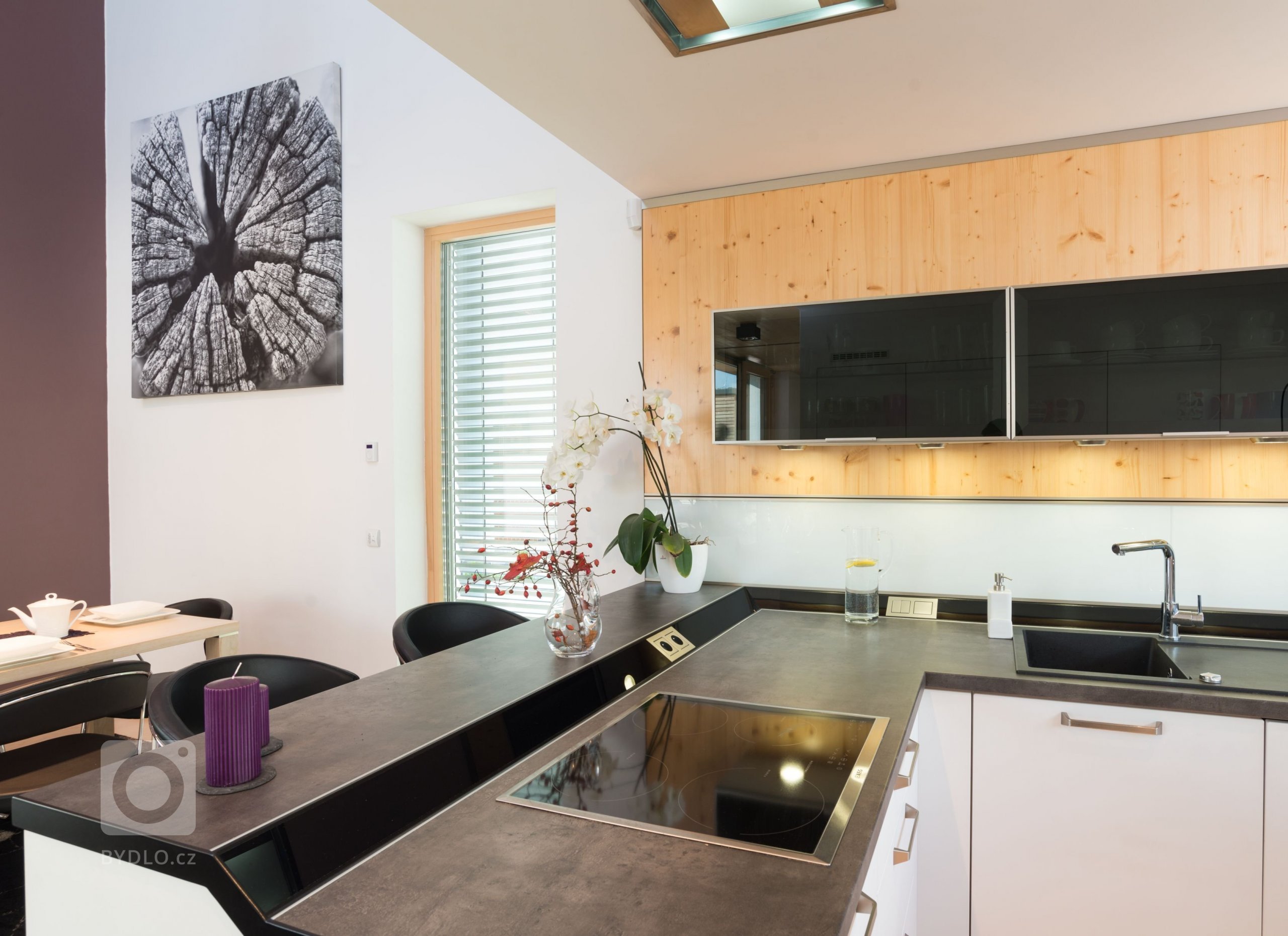 Dům o&nbsp;půdorysu ve tvaru U je navržen jako tři hmoty v různých výškových úrovních uspořádané kolem jádra domu &ndash; patia - s částečně krytou terasou a…