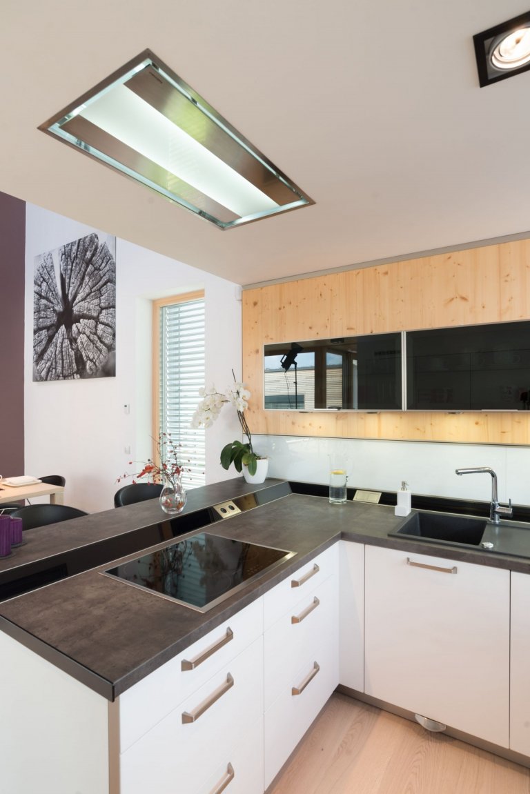 Dům o&nbsp;půdorysu ve tvaru U je navržen jako tři hmoty v různých výškových úrovních uspořádané kolem jádra domu &ndash; patia - s částečně krytou terasou a…