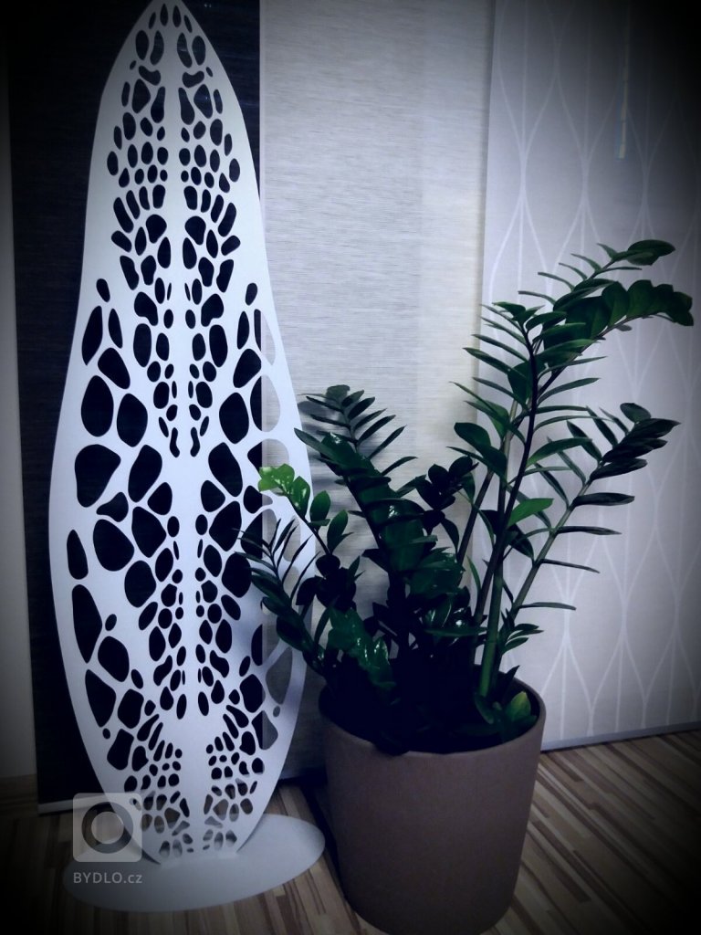 add picture to album