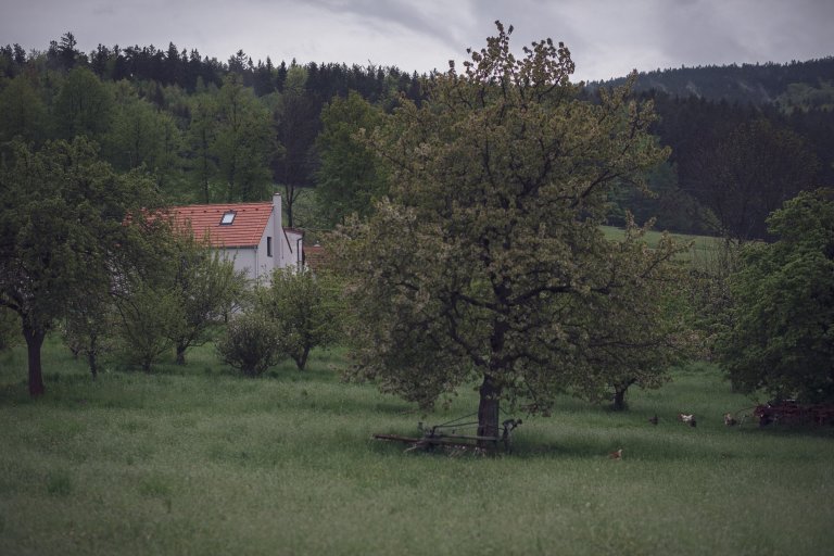 Dům v Krasetíně