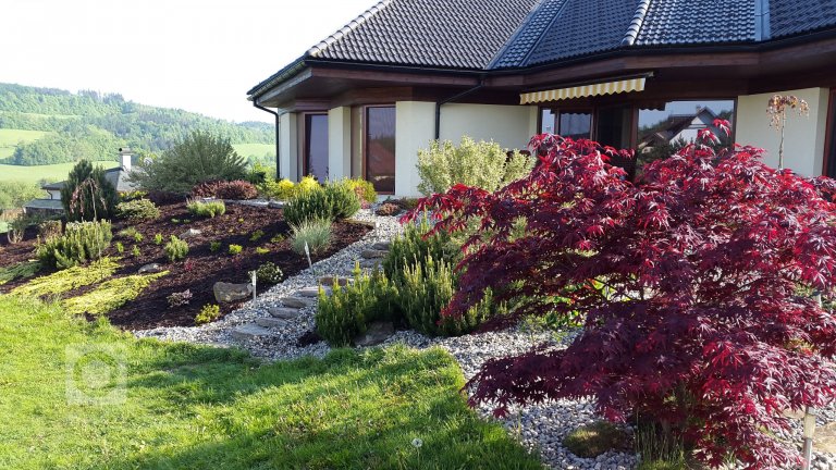 add picture to album