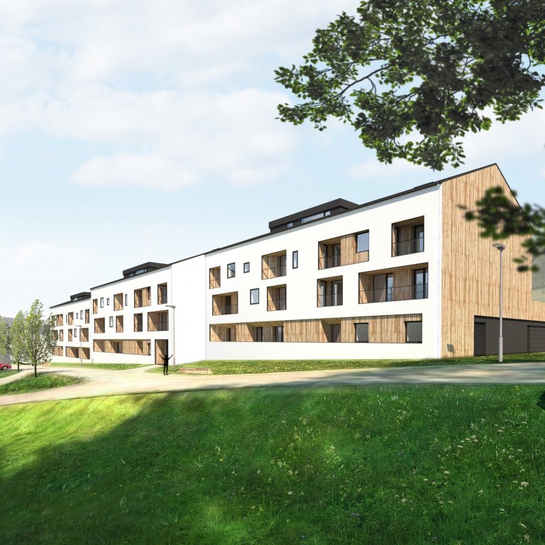 apartmánové domy, Černý Důl
spoluautor Radim Oblouk
studie (2019)
