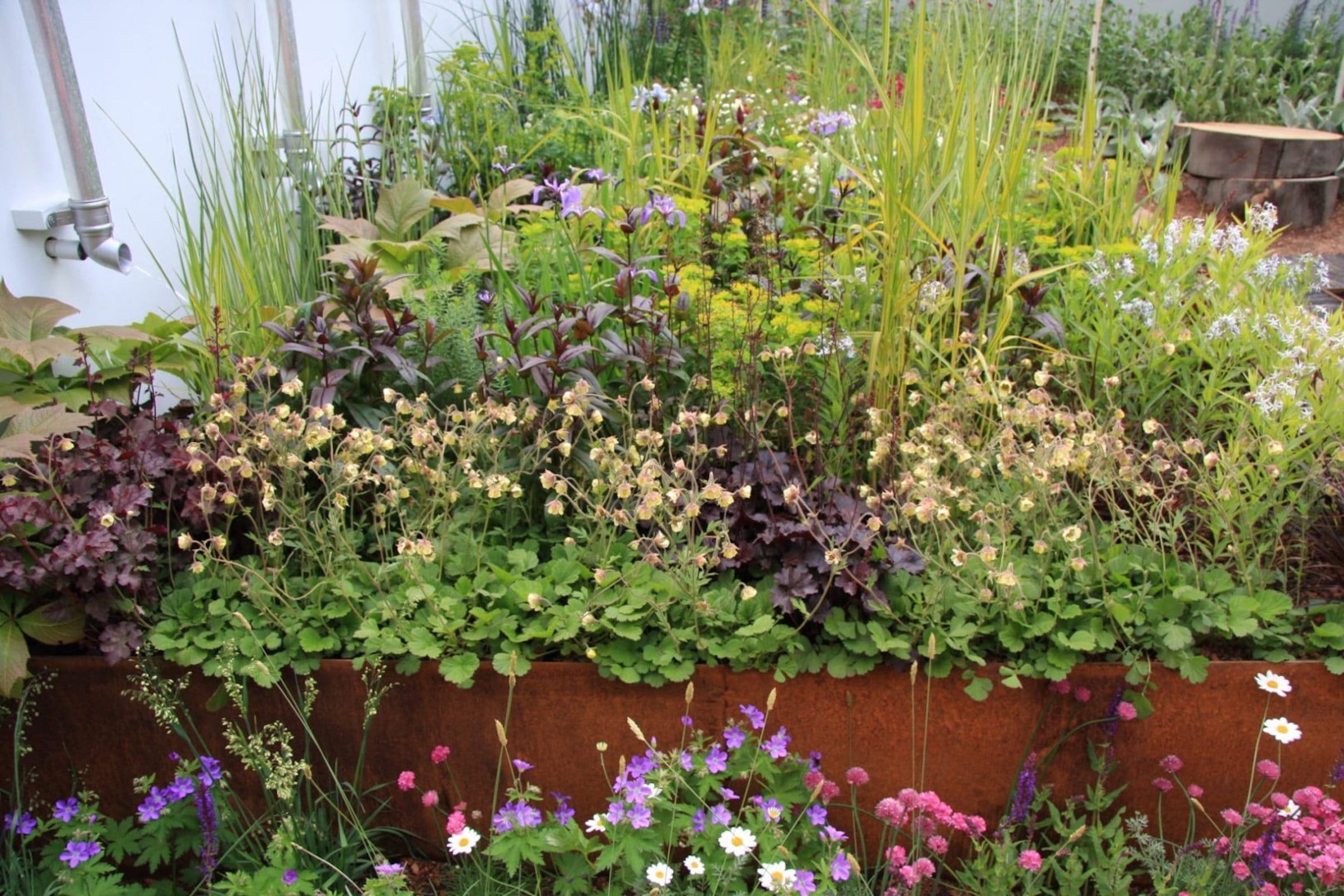 Vyvýšené záhony ocení i milovníci okrasných rostlin