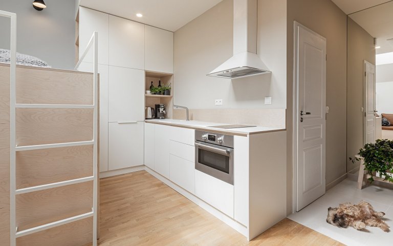 Interiér podkrovního bytu v centru Prahy v ulici Štěpánská. Malý byt na krátkodobý pronájem, o velikosti pouhých 23 metrů čtverečních, jsme navrhovali a…