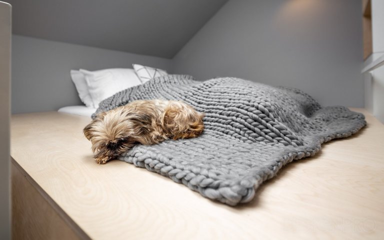 Interiér podkrovního bytu v centru Prahy v ulici Štěpánská. Malý byt na krátkodobý pronájem, o velikosti pouhých 23 metrů čtverečních, jsme navrhovali a…