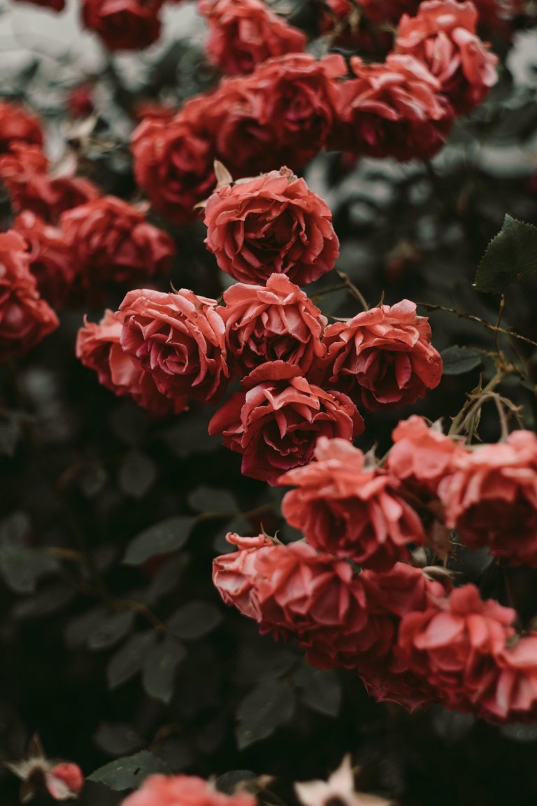 Tato krásná kuchyně propojuje kombinaci dubového dřeva, ručního nátěru a přírodního kamene. Dubová prosklená kredenc nabízí spoustu úložného prostoru a díky…