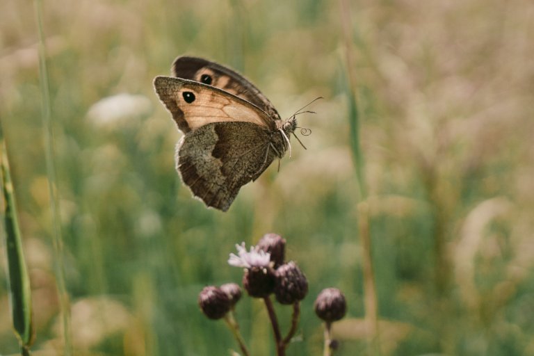 Tato krásná kuchyně propojuje kombinaci dubového dřeva, ručního nátěru a přírodního kamene. Dubová prosklená kredenc nabízí spoustu úložného prostoru a díky…