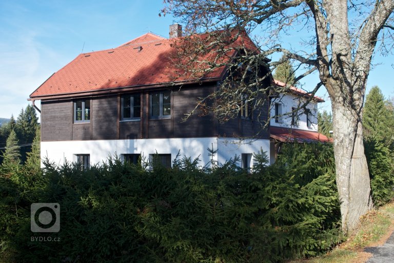 add picture to album