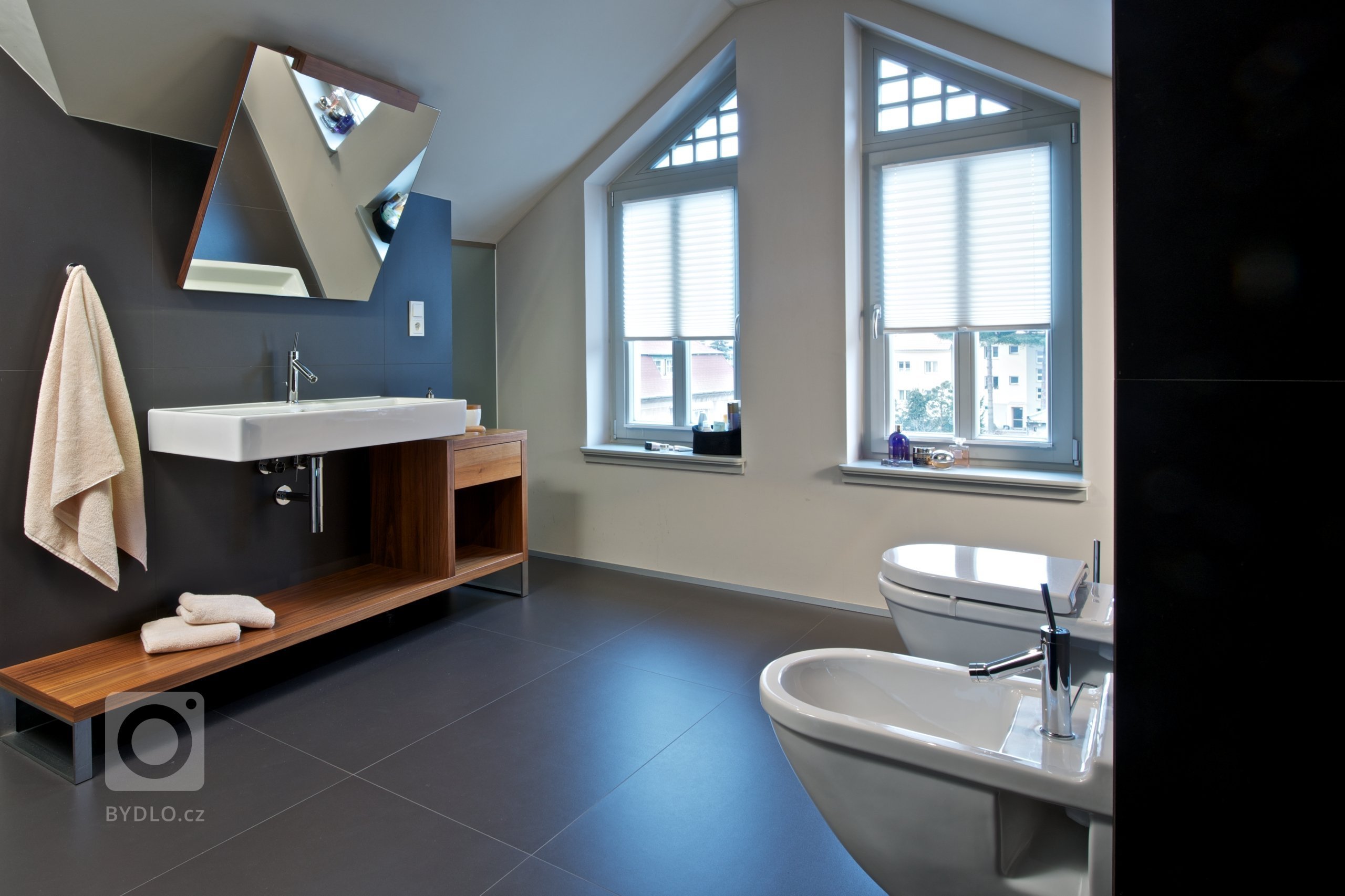 Mladý pár se rozhodl, že využije půdní prostor v rodinné vile. Uvolní tak ve spodních patrech domu místo ostatním členům rodiny a získají více soukromí.

…