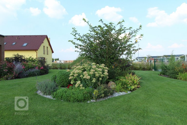 add picture to album