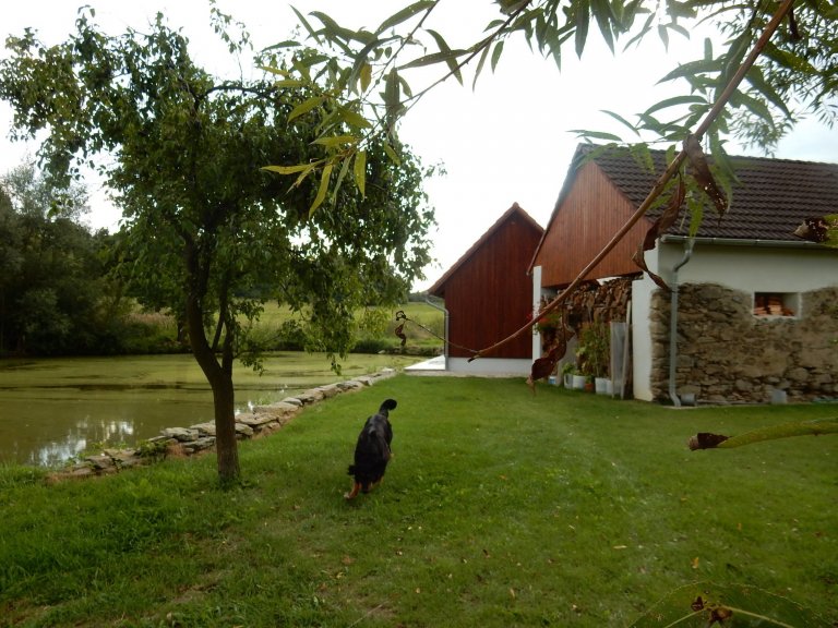 Stavební úpravy rodinného domu u Písku zahrnovaly v prvé řadě návrh v podobě architektonické studie, projektu, demoliční práce následované samotnou výstavbou.…