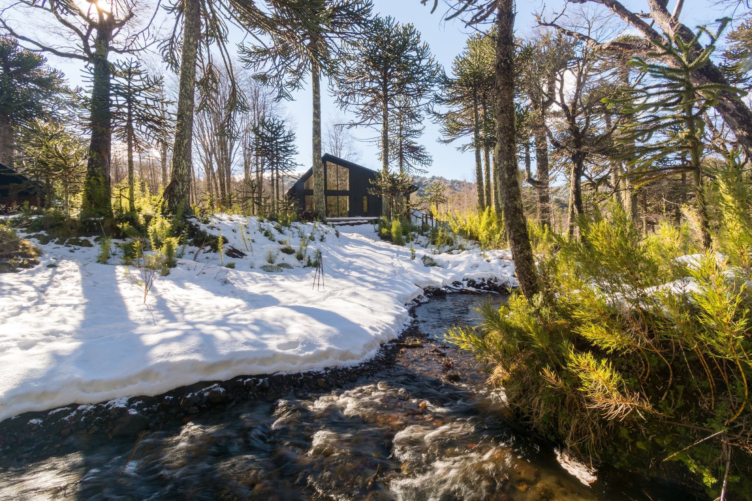 Chata uprostřed zasněženého lesa