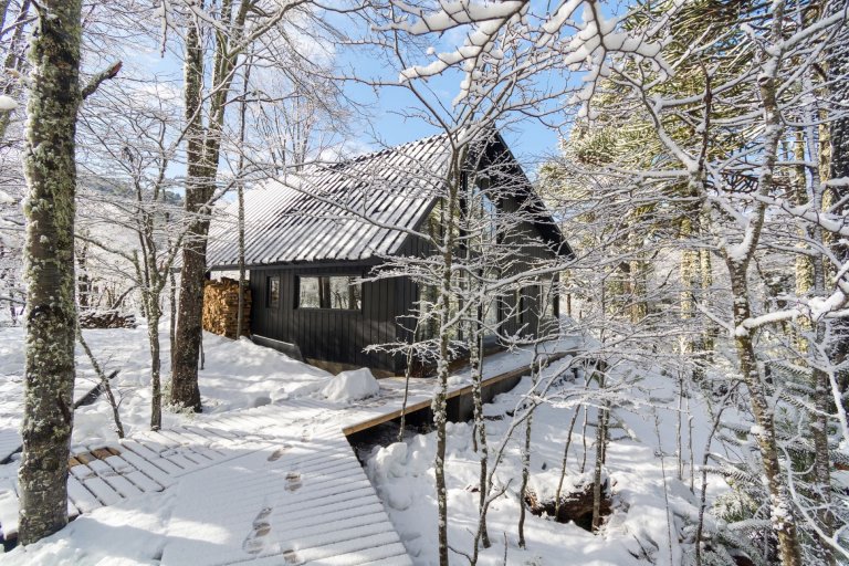 Chata uprostřed zasněženého lesa