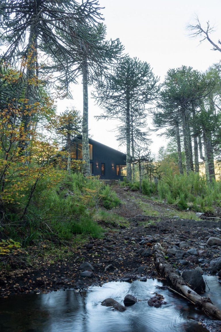Chata uprostřed zasněženého lesa