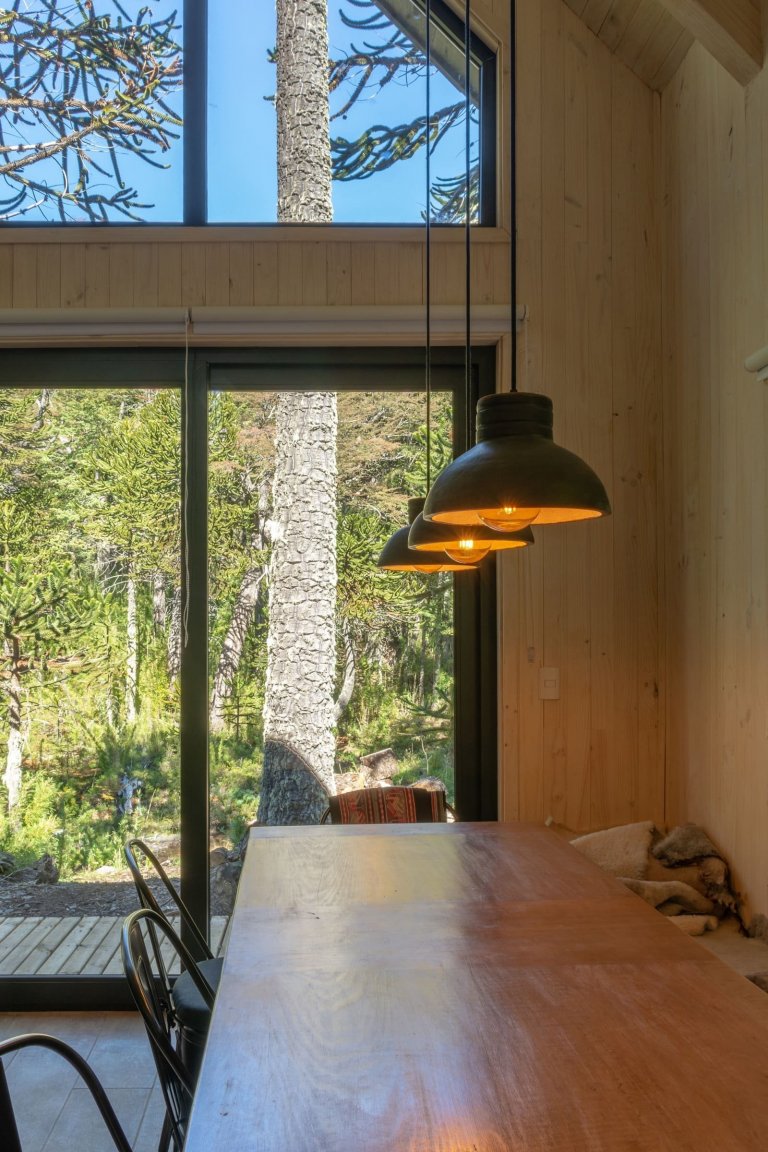 Chata uprostřed zasněženého lesa