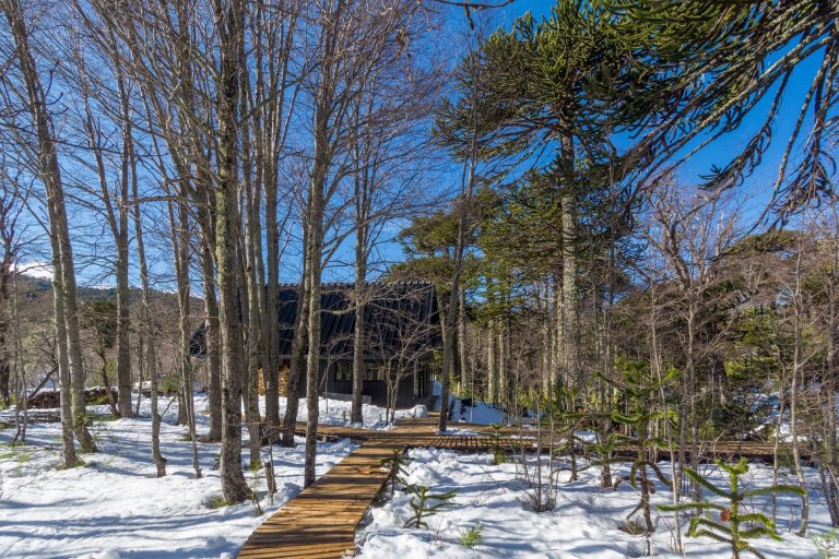 Chata uprostřed zasněženého lesa