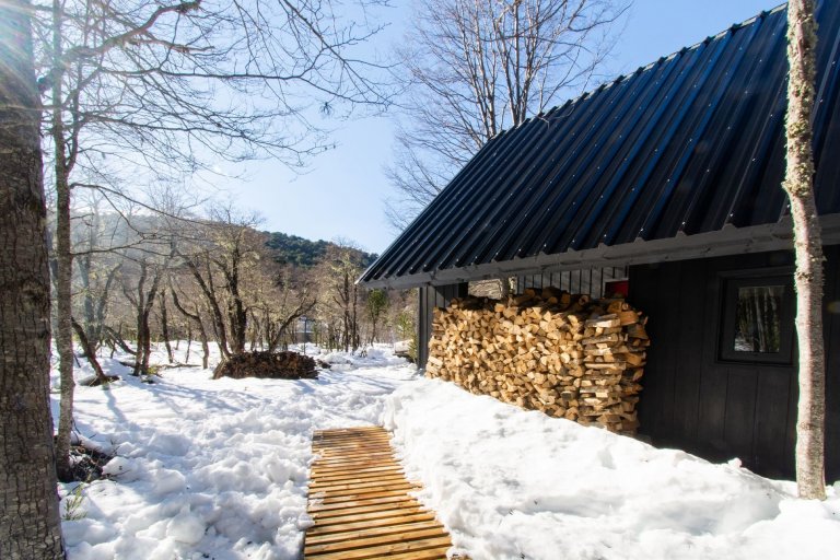 Chata uprostřed zasněženého lesa