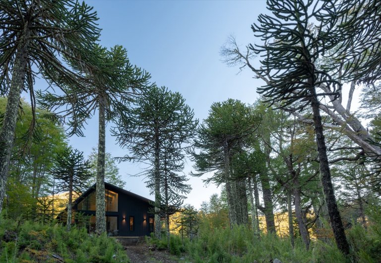 Chata uprostřed zasněženého lesa