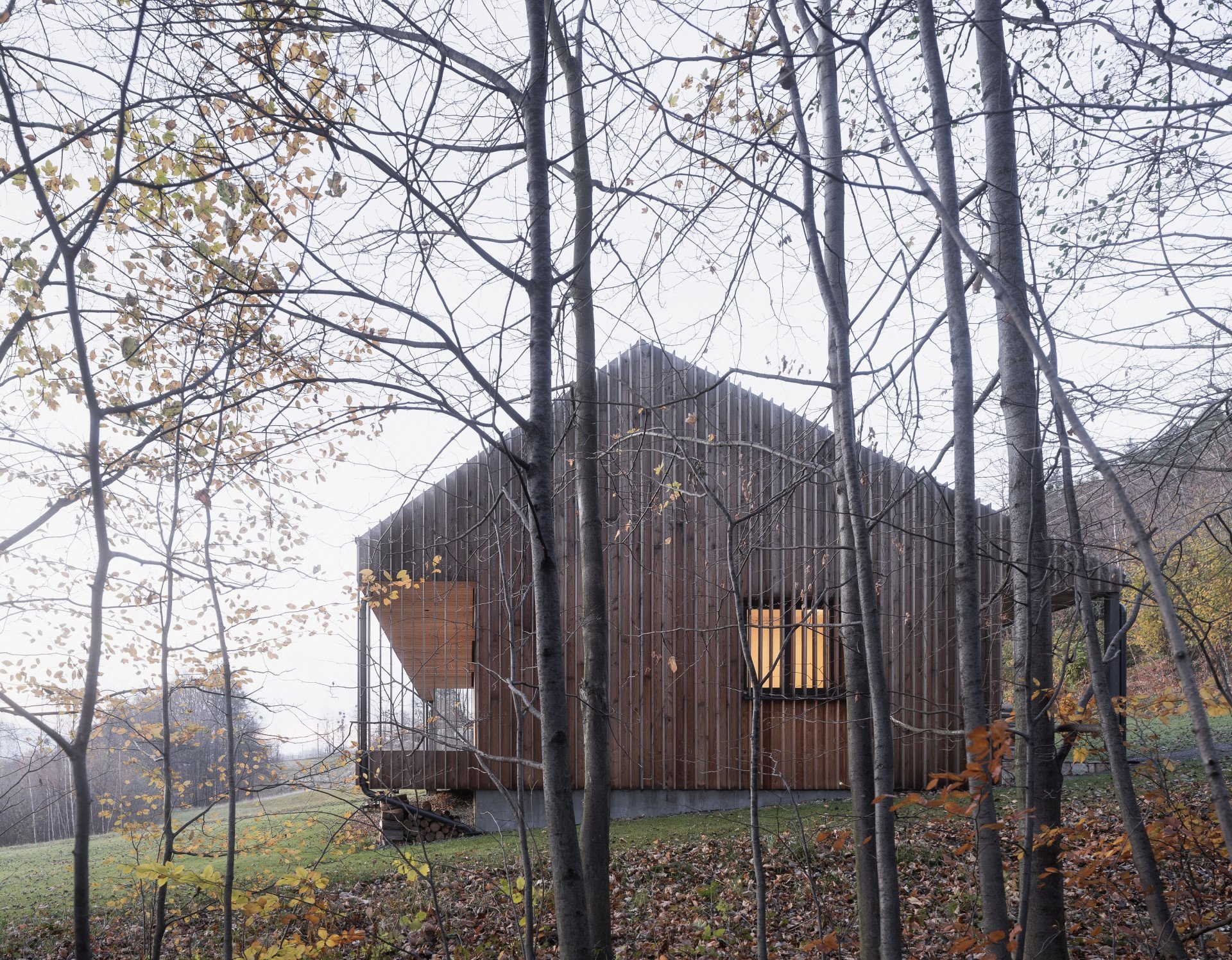 Dřevostavba s pláštěm z modřínových latí