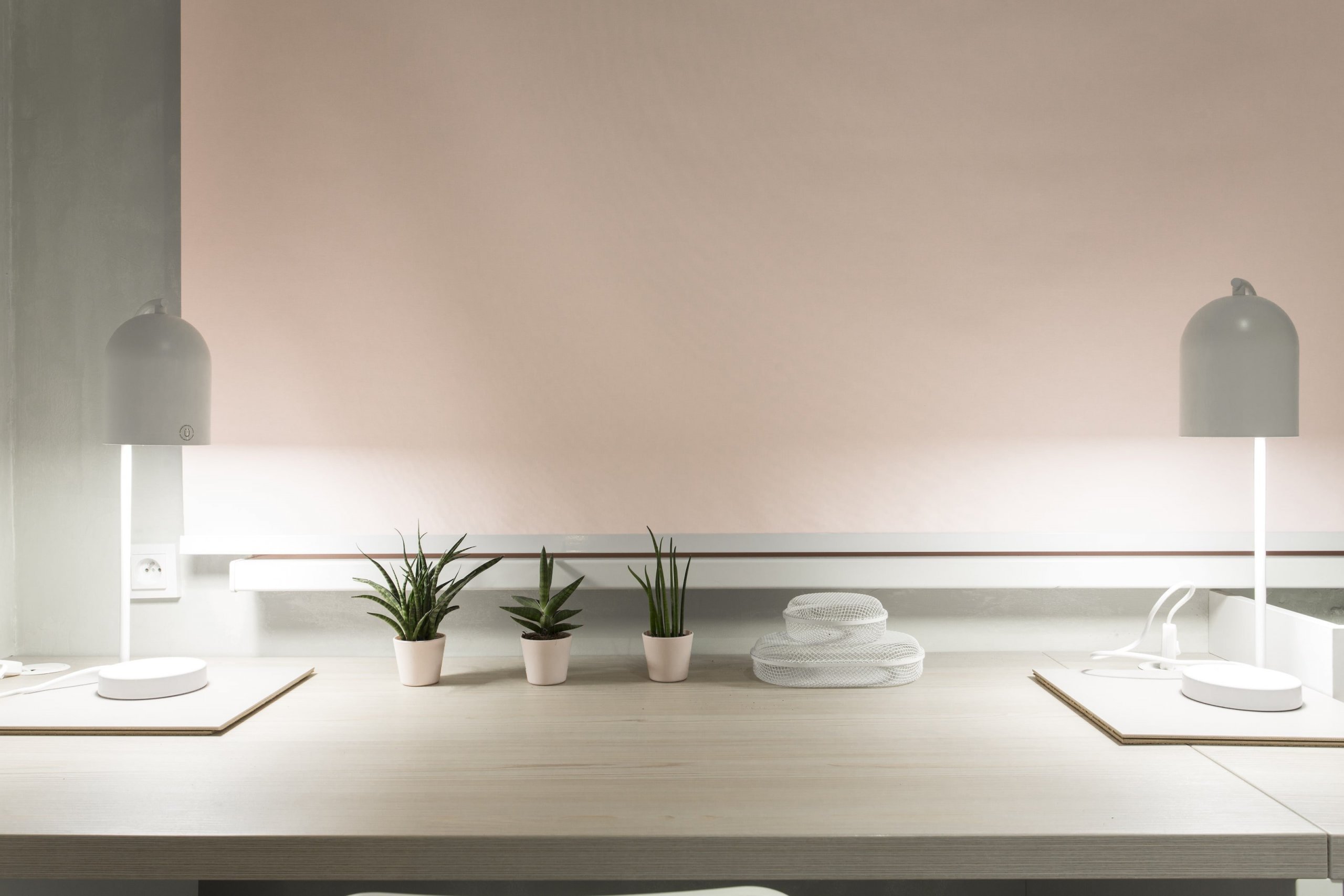 Jak se staví sen 2019 – 3. díl