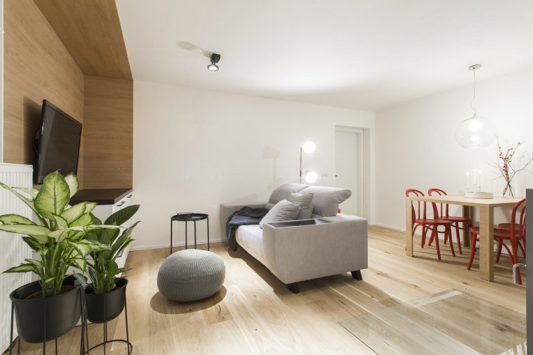 Jak se staví sen 2019 – 6. díl