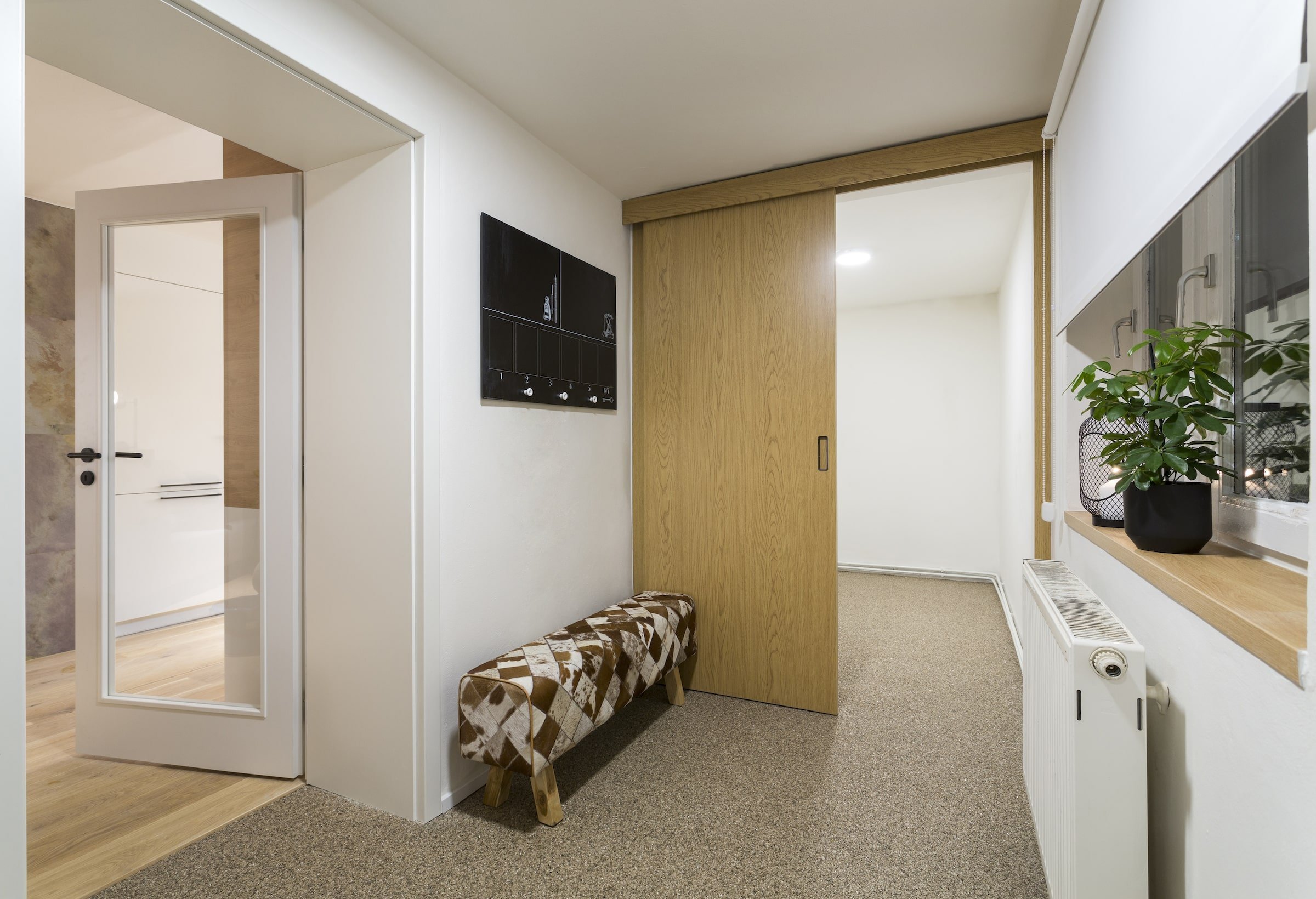 Jak se staví sen 2019 – 6. díl