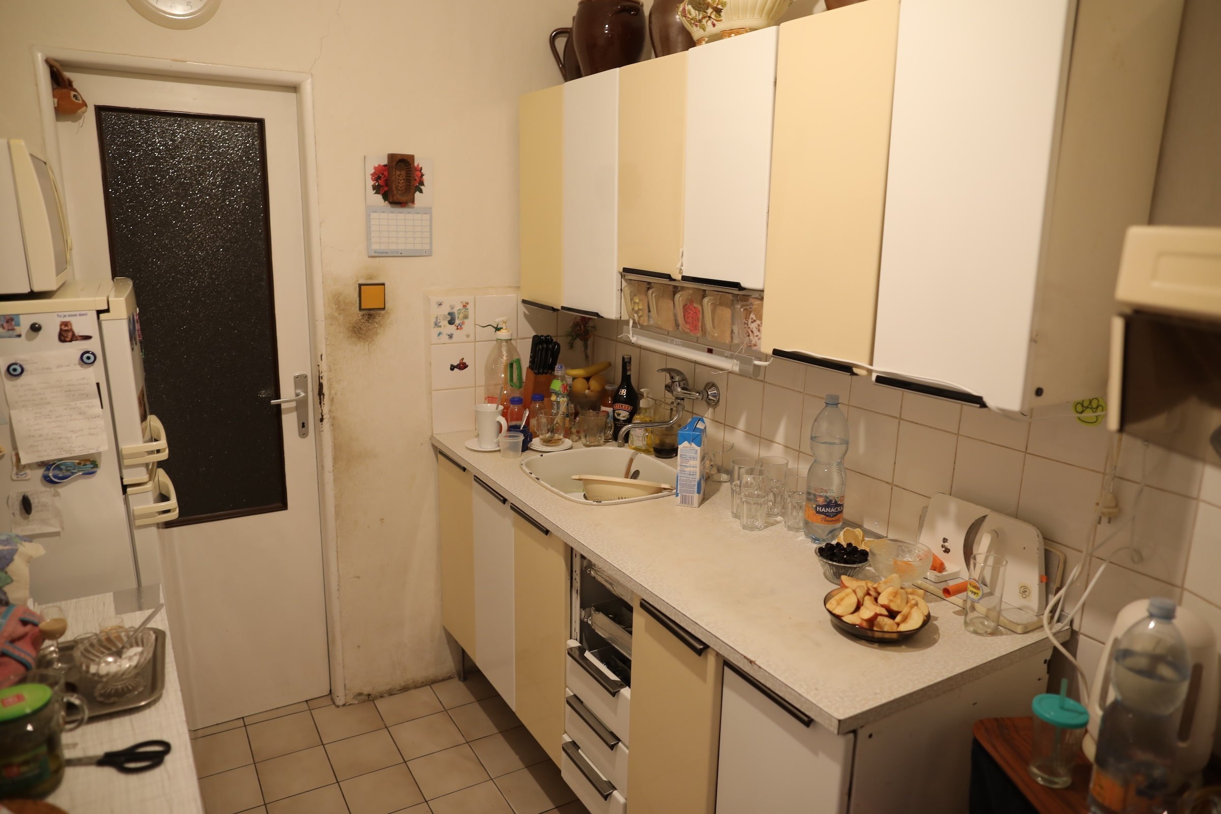 Jak se staví sen 2019 – 8. díl