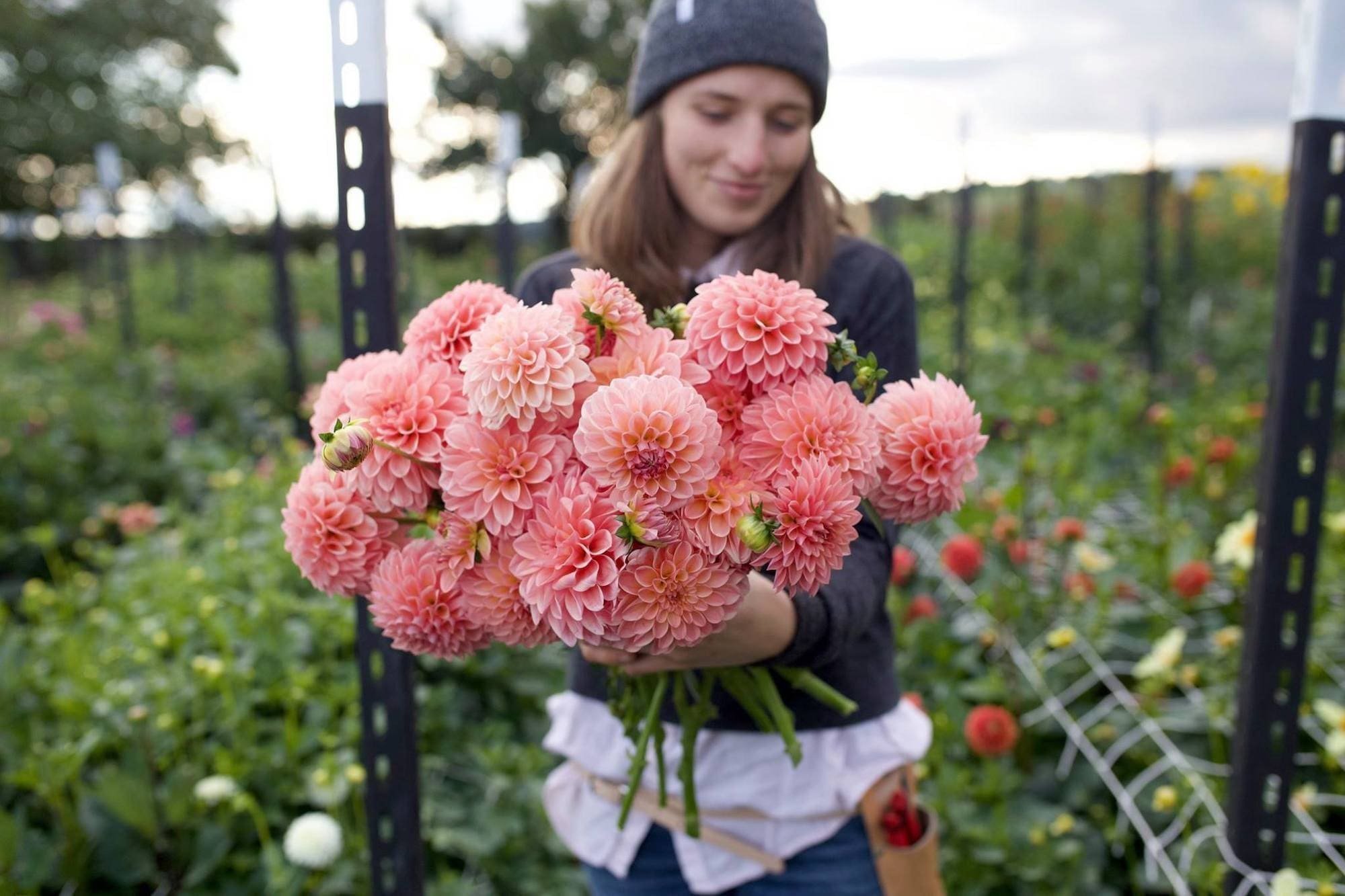 Jiřina Linda's Baby
