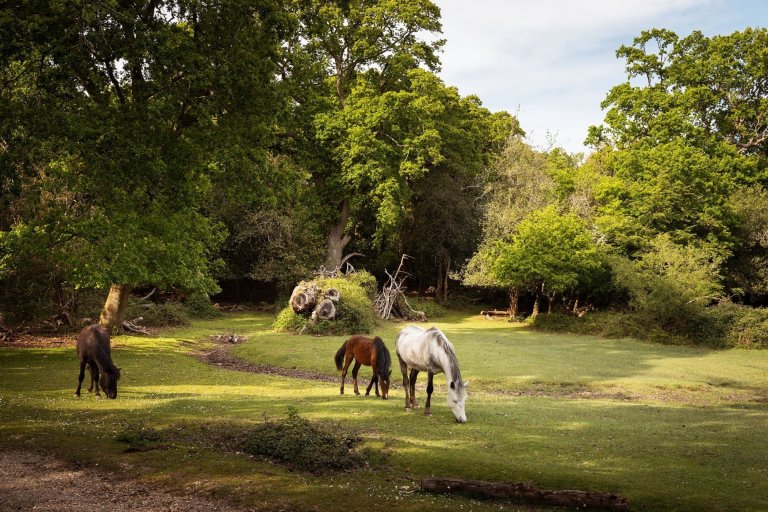 Romantický dům uprostřed národního parku