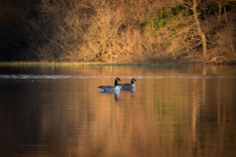Romantický dům uprostřed národního parku