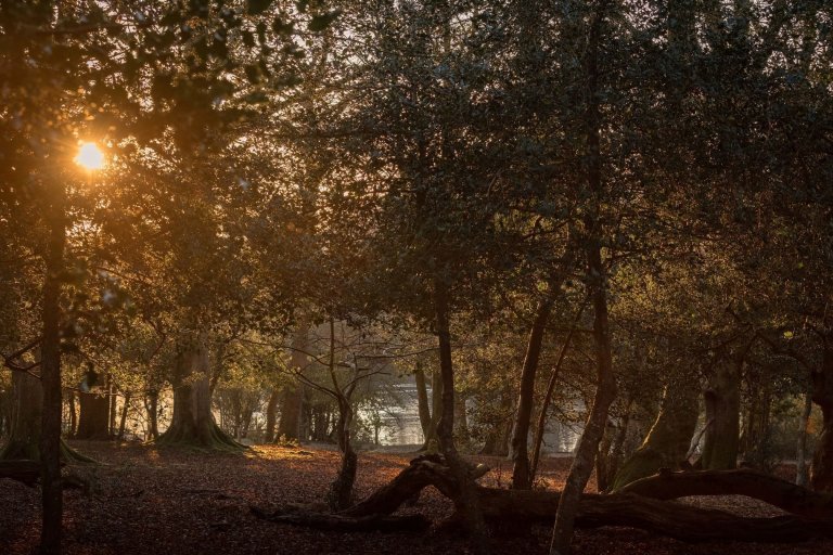 Romantický dům uprostřed národního parku