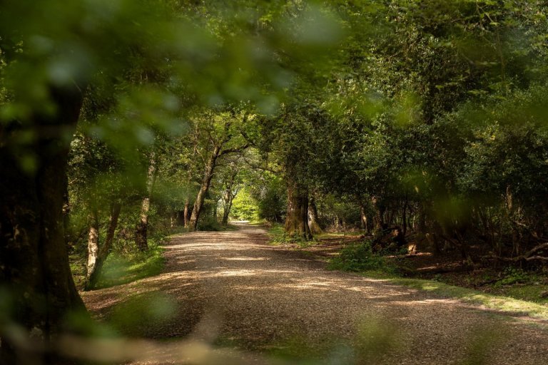 Romantický dům uprostřed národního parku