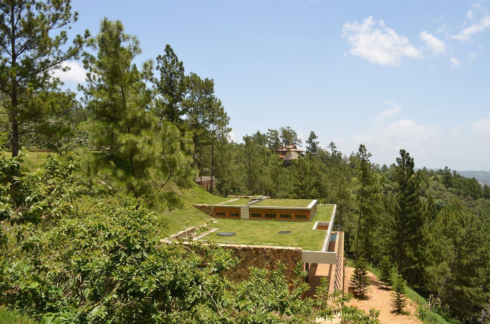 Zelené střechy jako přírodní klimatizace