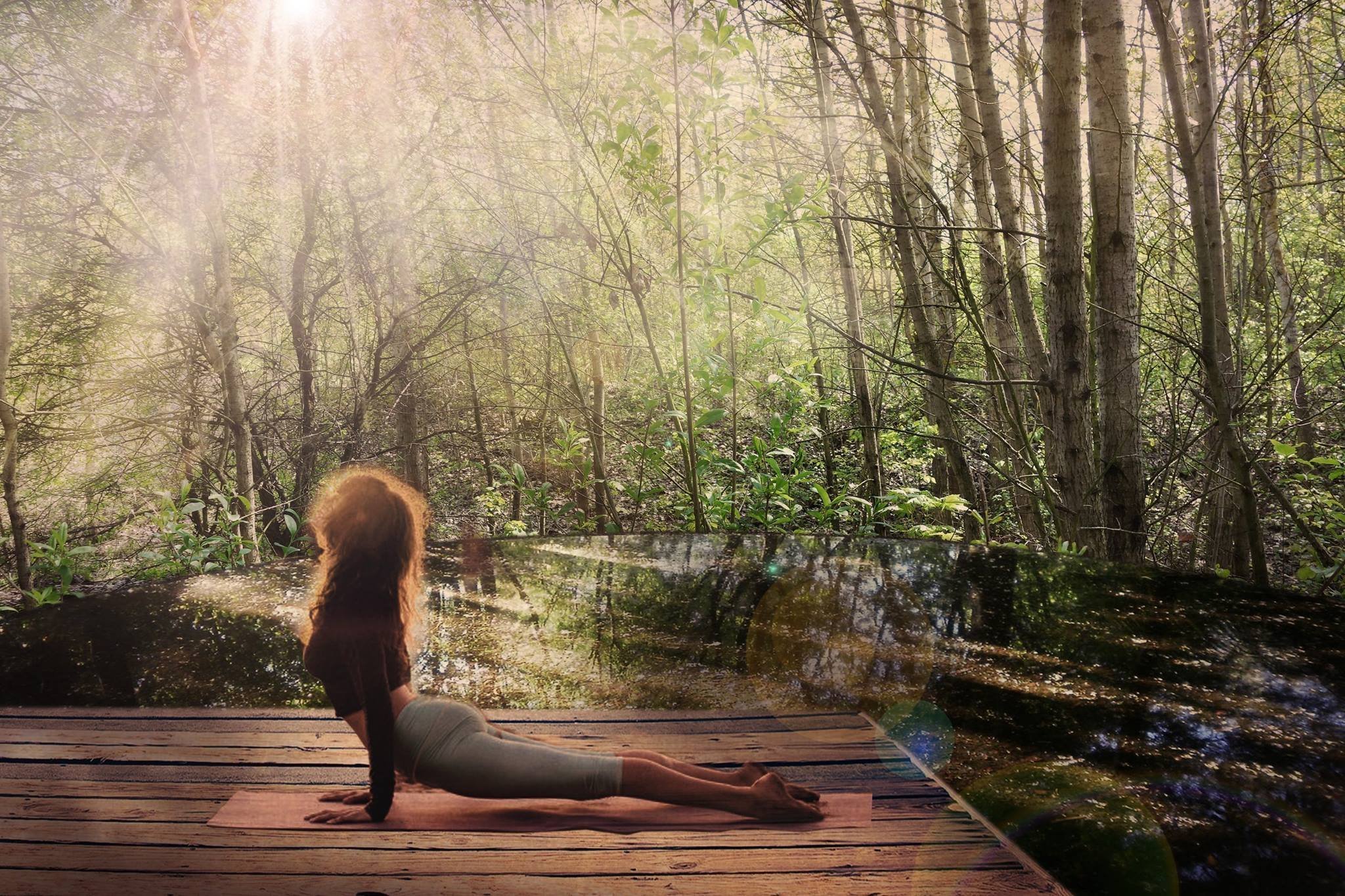 Z akátového dřeva z místních zdrojů jsou navržena mola s nejrůznějšími funkcemi - na obrázku meditační molo za vycházejícího slunce.. Z akátového dřeva z místních zdrojů jsou navržena mola s nejrůznějšími funkcemi - na obrázku meditační molo za vycházejícího slunce..
