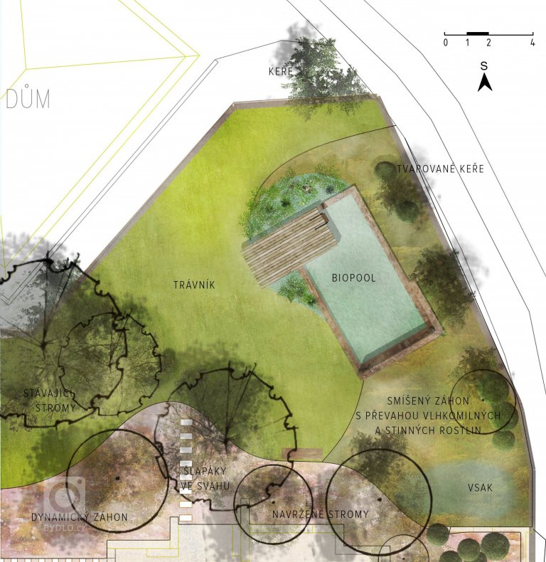 add picture to album