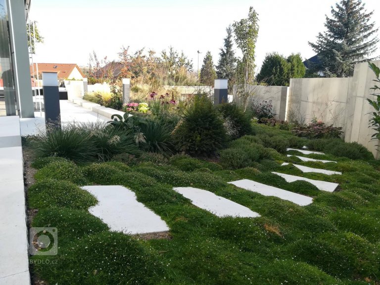 add picture to album