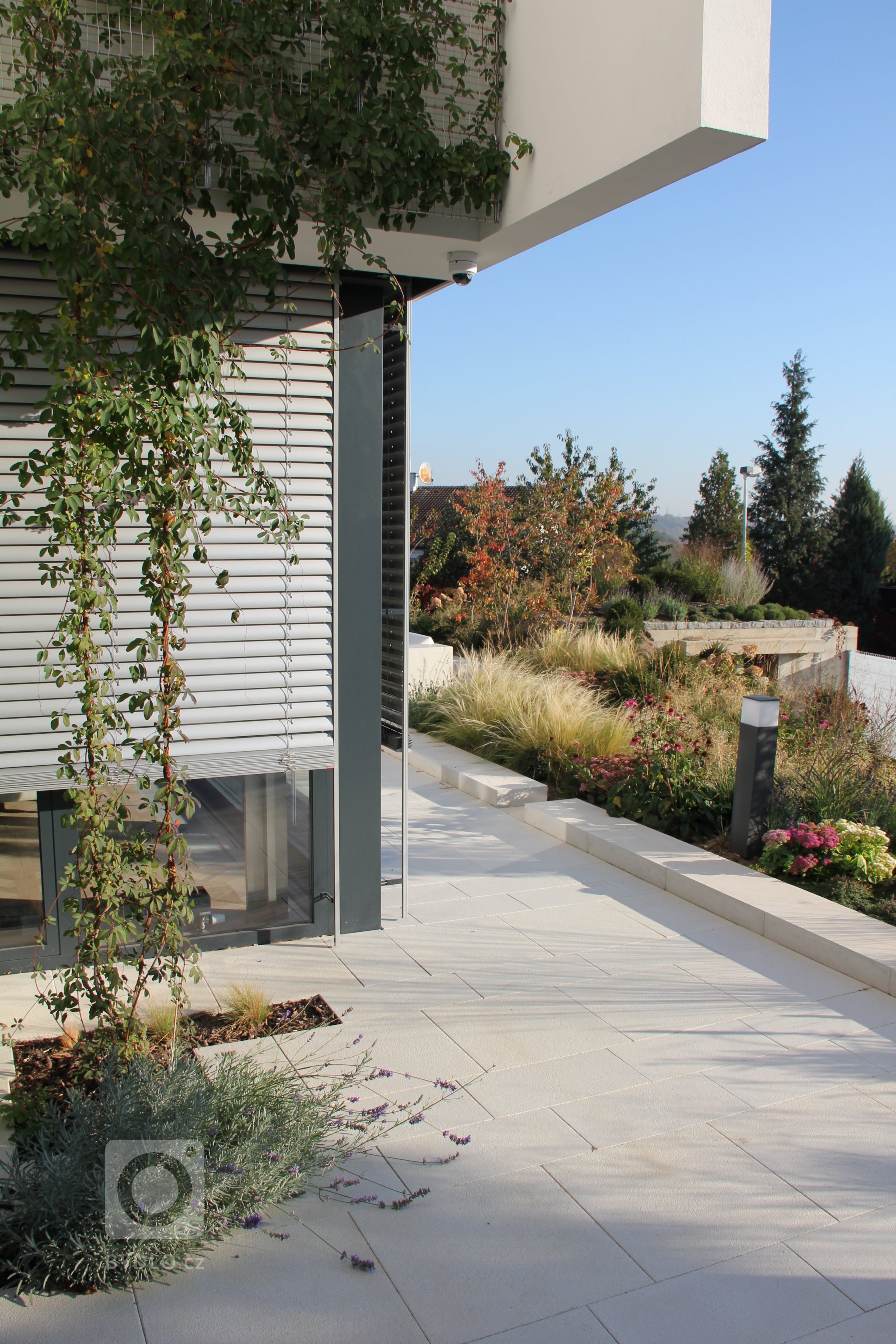 Zahrada byla založena na jaře 2018. Fotografie z podzimu 2018 tedy ukazují zahradu necelý půl rok od založení (pouze ovíjivá akébie byla vysazena současně s dostavbou domu).