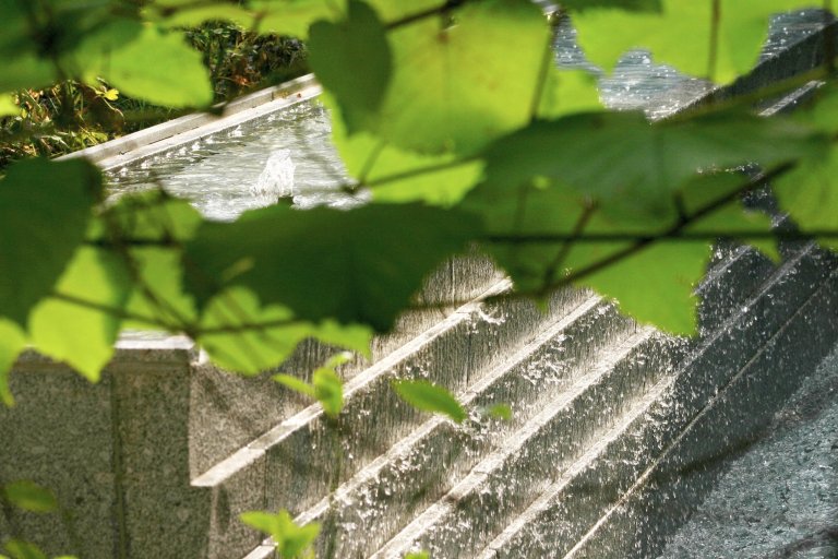 Uprostřed hlučného, přeplněného, rozpáleného města se ve vnitrobloku schovala malá zahrada. Zahrada tichá se zvukem zurčící vody, zahrada chladivá s vodními…