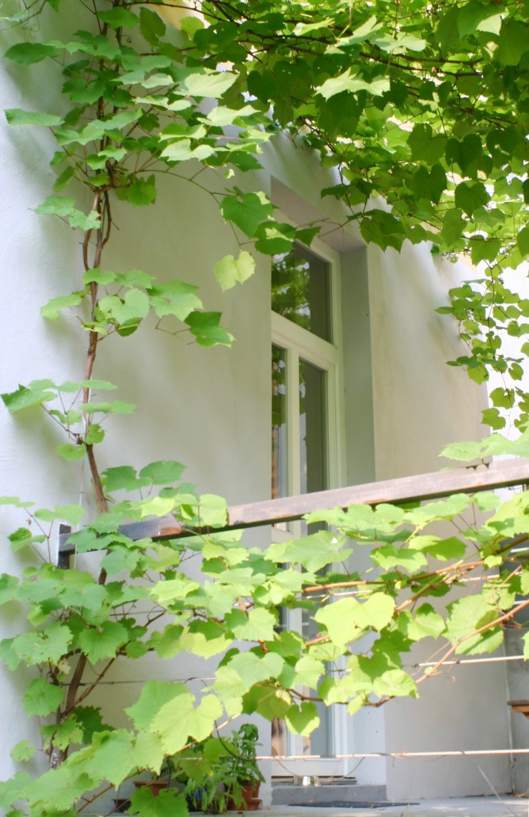 Uprostřed hlučného, přeplněného, rozpáleného města se ve vnitrobloku schovala malá zahrada. Zahrada tichá se zvukem zurčící vody, zahrada chladivá s vodními…