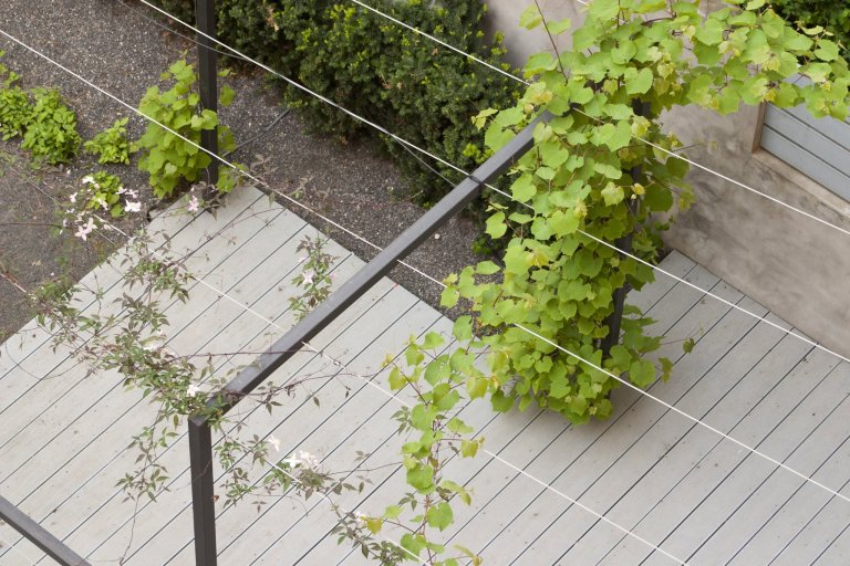 Uprostřed hlučného, přeplněného, rozpáleného města se ve vnitrobloku schovala malá zahrada. Zahrada tichá se zvukem zurčící vody, zahrada chladivá s vodními…