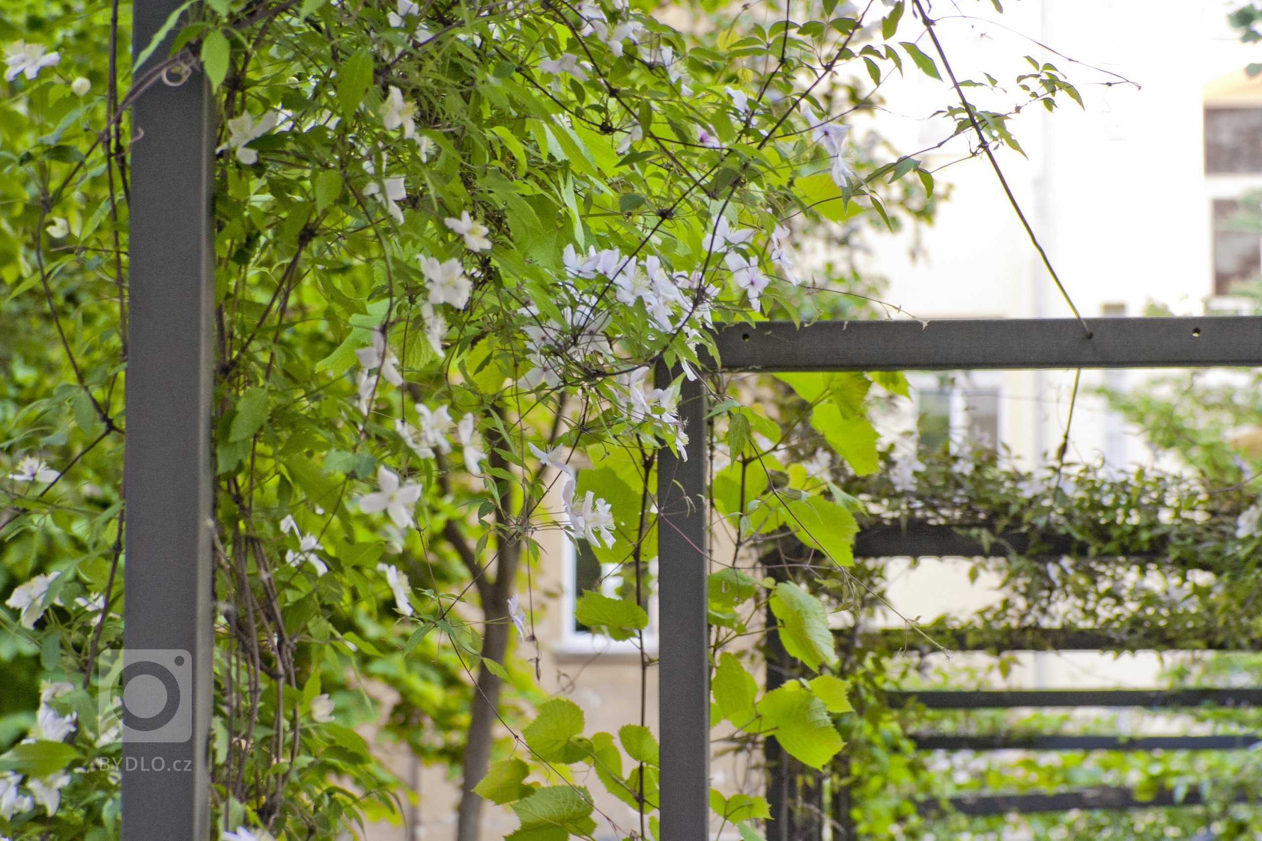 Uprostřed hlučného, přeplněného, rozpáleného města se ve vnitrobloku schovala malá zahrada. Zahrada tichá se zvukem zurčící vody, zahrada chladivá s vodními…