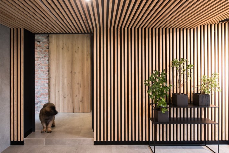 Za projektem slezského domu je zajímavý příběh